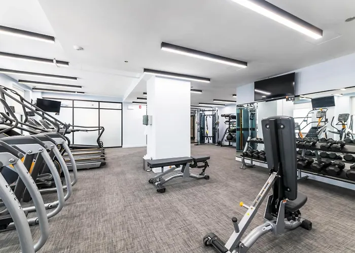 Loop 1br W Deck Gym Wd Nr W Loop The L Chi-220 Apartment *